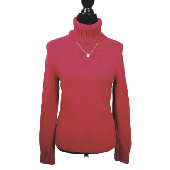 Banana Republic Sweaters - Banana Republic Red Chunky Turtle Neck Sweater
